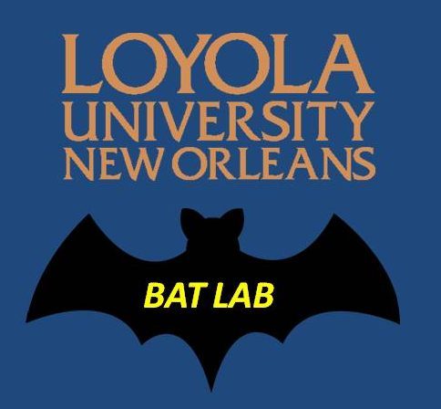 Loyola Bat Lab
